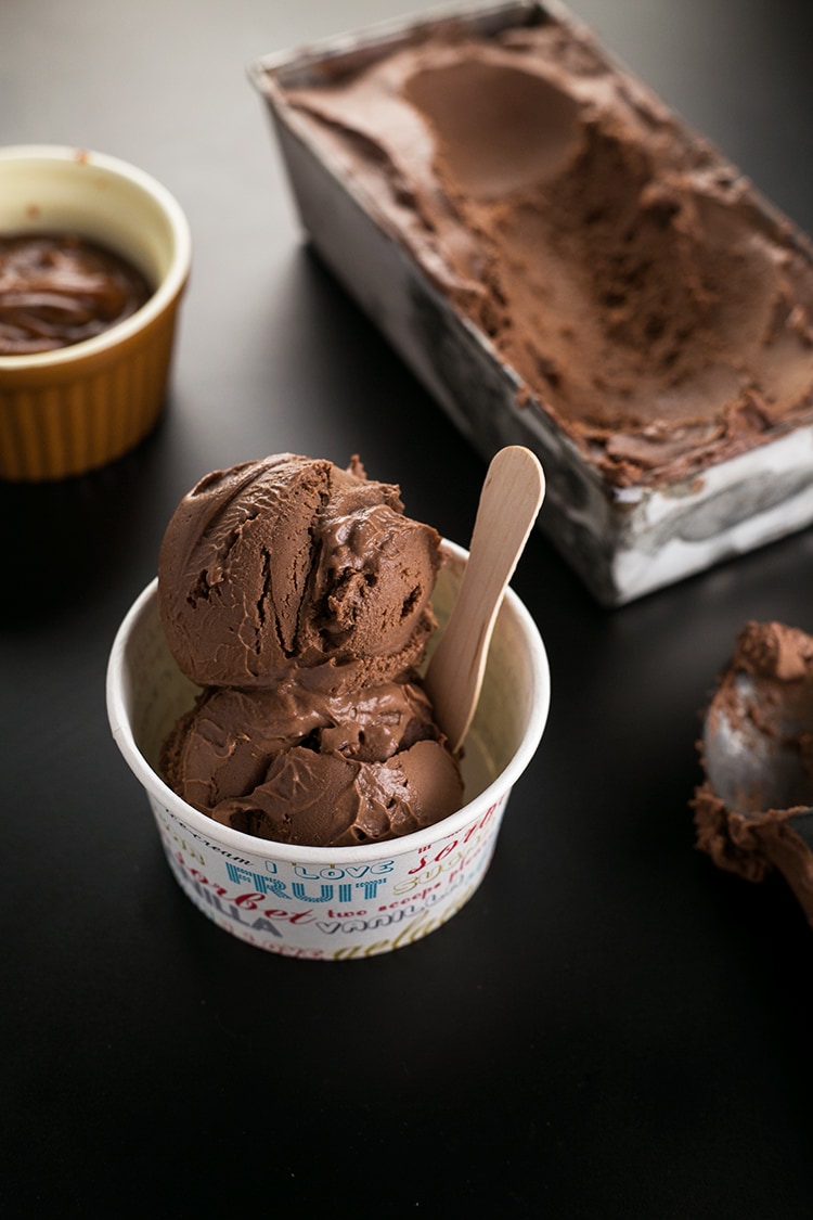 Vegan Chocolate Ice Cream - Foolproof Recipe – Crazy Vegan Kitchen